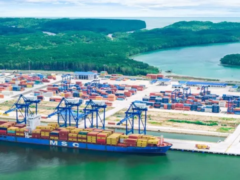 Sở hữu cảng 11.000 tỷ vẫn không được phép nhập khẩu mặt hàng quan trọng, Đồng Nai quyết "xin" quyền