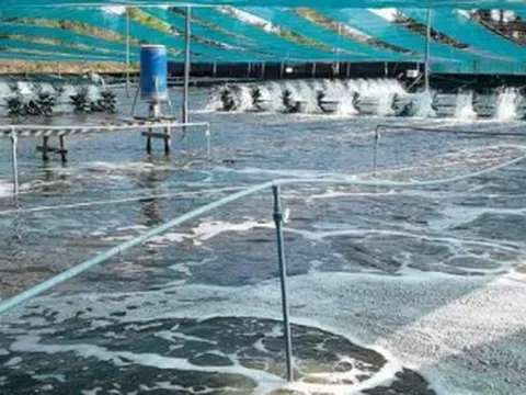 Mỹ, Trung Quốc đang đua nhau săn lùng kho báu đứng thứ 2 thế giới của Việt Nam: Nước ta có công nghệ chế biến dẫn đầu, vừa thu về gần 4 tỷ USD