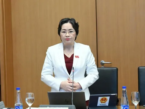 Nên thận trọng khi cho địa phương cấp phép thăm dò, khai thác kim loại quý