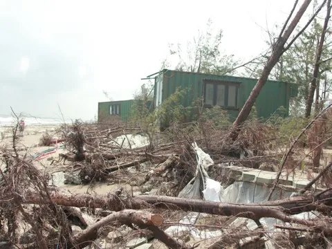 Hà Tĩnh: Cần nhanh chóng khắc phục “lá chắn xanh” phòng hộ ven biển