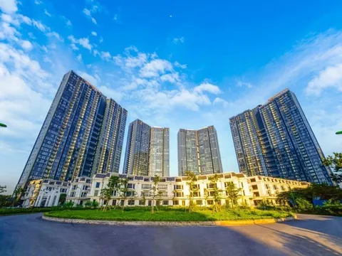 Sunshine Homes và công ty con vừa chuyển nhượng gần 1.500 tỷ đồng cổ phần