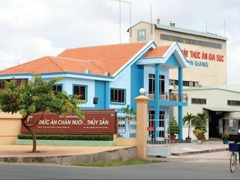 Thêm một cổ phiếu thủy sản chuẩn bị cập bến HoSE