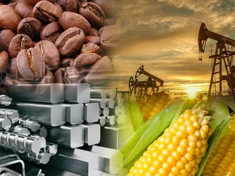 THỊ TRƯỜNG HÀNG HÓA: Ca cao rớt giá, ngô phục hồi nhẹ