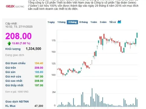 3 phiên tăng trần đưa vốn hóa công ty họ GELEX áp sát 3 tỷ USD, cổ đông lãi gấp 7 lần từ đầu năm
