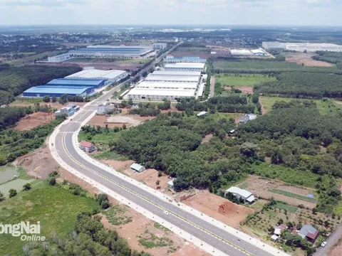 "Cất cánh" cùng dự án 16 tỷ USD, "sóng lớn" đổ bộ Đồng Nai, loạt doanh nghiệp tư nhân ồ ạt nhập cuộc