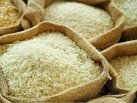 Giá gạo Thái Lan bật tăng lên mức cao nhất trong gần bốn tháng