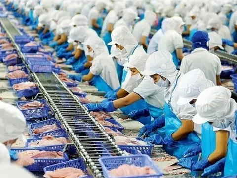 Xuất khẩu thủy sản sang Mỹ biến động do ‘ngấm’ thuế đối ứng