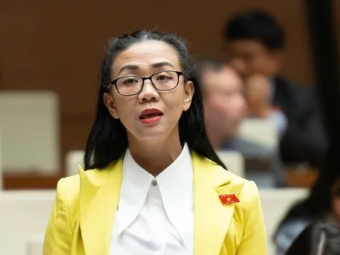 Cần vai trò giám sát độc lập trong chuỗi hoạt động tuyển - tách - chế biến đất hiếm