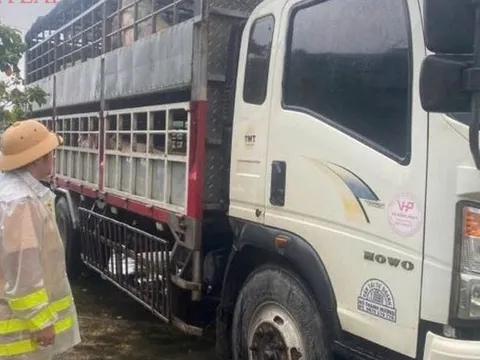 Phát hiện 2 xe tải chở 7,2 tấn heo nghi nhiễm dịch tả heo châu Phi