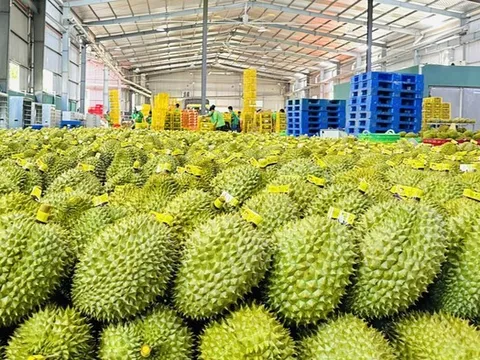 Xuất khẩu nông lâm thủy sản lập kỷ lục mới