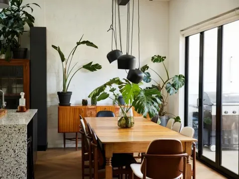 6 vị trí trong nhà tuyệt đối không được đặt cây: Số 3 khiến nhiều người "ngã ngửa"