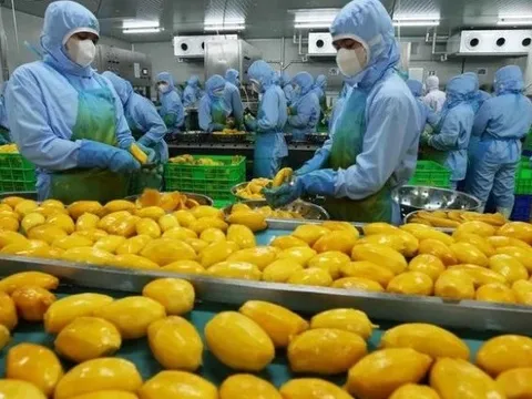 Khuyến cáo doanh nghiệp cập nhật quy định mới của Trung Quốc về xuất khẩu thực phẩm