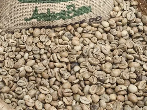 Giá cà phê hôm nay 10-12: Cắt mạch giảm sau 6 phiên