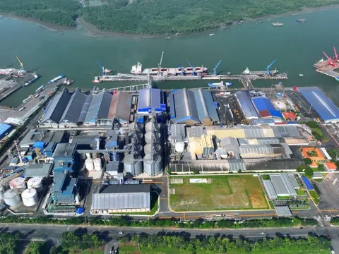 Hai tập đoàn tỷ đô rót thêm 100 triệu USD vào Việt Nam, TP.HCM sở hữu nhà máy dầu dậu nành lớn nhất Đông Nam Á