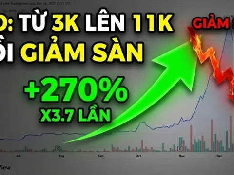 Biến lớn tại công ty sở hữu Nhà máy điện gió 9.000 tỷ tại Quảng Trị