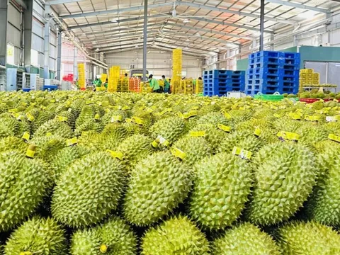 Xuất khẩu nông lâm thủy sản lập kỷ lục mới