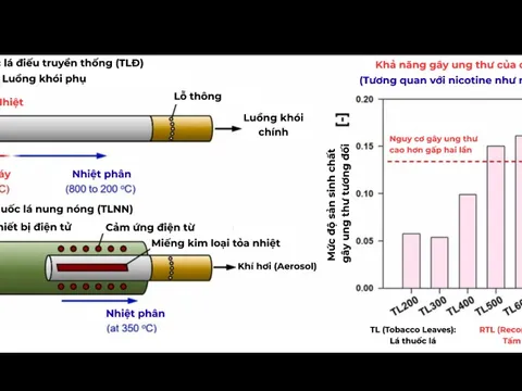 Phần lớn bác sĩ vẫn còn nhầm lẫn về nguy cơ của nicotine trong thuốc lá