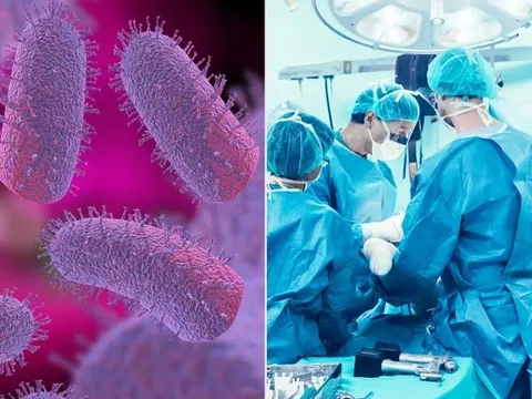 Người đàn ông tử vong sau khi được ghép thận từ người nhiễm bệnh dại