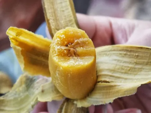 3 loại quả đem nấu chín thành "thần dược" cho nữ giới trong mùa đông: Dưỡng da, đẹp tóc, giảm mỡ, phòng đủ thứ bệnh