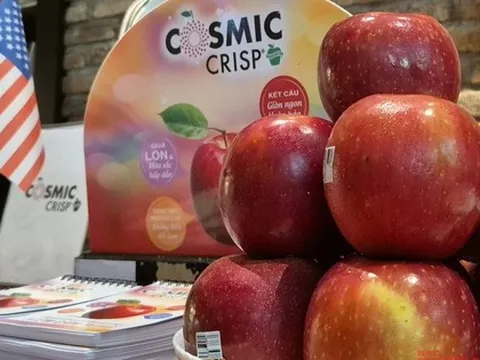 500 container táo Mỹ sắp đổ bộ chợ Tết Việt