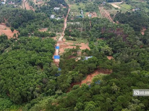 Năm 2026, thiết lập và vận hành sàn giao dịch carbon trong nước