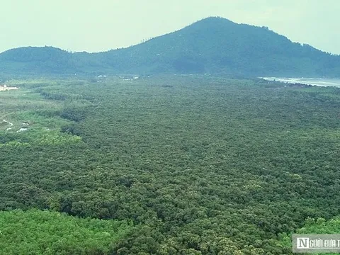 VIDEO: Ngắm "pháo đài xanh" trăm tuổi hiếm có giữa cồn cát ven biển Huế