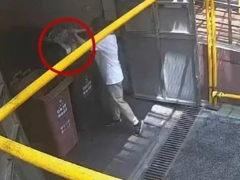 Được ngày dọn nhà giúp mẹ, cô gái xinh đẹp vứt nhầm hộp vàng gần 2 tỷ đồng vào thùng rác