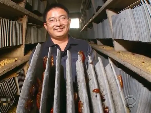 Nghề "hot" kiếm cả tỷ đồng mỗi năm nhưng ít ai dám làm