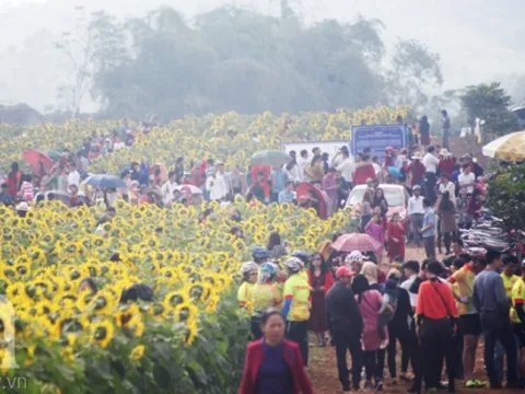 Nơi được quan tâm nhất lúc này ở Nghệ An: Cảnh như nước ngoài, mở cửa miễn phí nhưng có lưu ý đặc biệt
