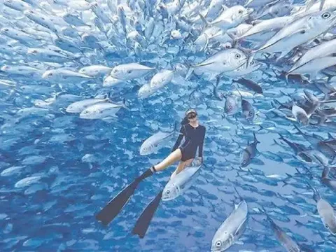 Nghề "hot": Đi làm như đi chơi kiếm hơn nửa tỷ đồng