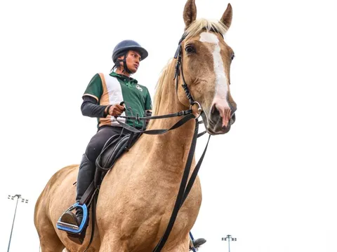 Bên trong nơi nuôi dưỡng giống ngựa triệu đô hiếm bậc nhất thế giới tại Việt Nam