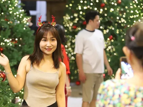 Bạn trẻ rạng rỡ check-in với hàng thông Noel lung linh, huyền ảo
