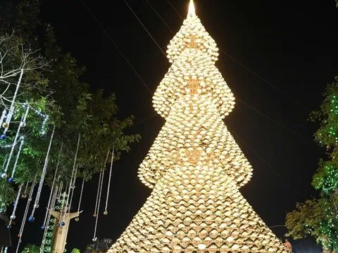 Cây thông Noel nón lá cao 35m "gây sốt" mùa Giáng sinh ở Đồng Nai