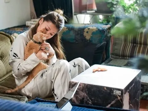 Nữ giám đốc độc thân sống trong căn hộ 90m2, thuê thêm căn 35m2 mở quầy bar mini mời hàng xóm đến xập xình