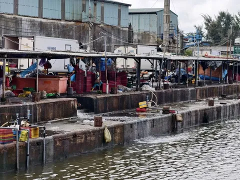 Xử lý nước thải cảng cá Quảng Ngãi: Hoạt động cầm chừng, dân lo ô nhiễm