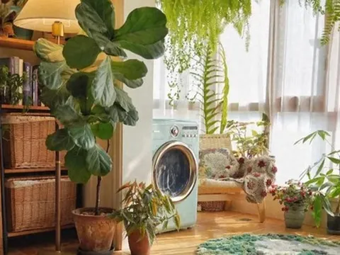 Dọn dẹp cuối năm: Vứt ngay 7 thứ này nếu không muốn mang xui xẻo - thất thoát tiền bạc sang năm mới