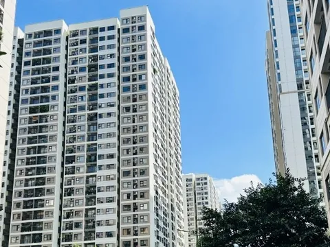 Kinh nghiệm 15 năm sống chung cư: Tôi nhận ra nên chọn màu sơn tông nóng hay lạnh, chọn đúng thì sống sướng, bán dễ