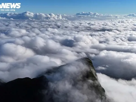 'Săn mây', ngắm cảnh đẹp hoang sơ trên 'nóc nhà' Quảng Trị ở dãy Trường Sơn