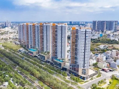 Novaland thoái vốn tại dự án The Sun Avenue, trở thành cổ đông lớn tại Seaprodex