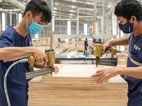 Mỹ bất ngờ hoãn tăng thuế với gỗ nhập khẩu theo Mục 232