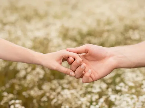 Loại gia vị “nhỏ hơn ngón tay” mang về 2.600 tỷ cho Việt Nam