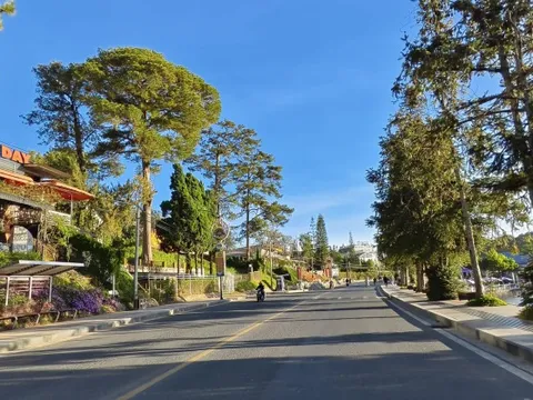 Cảnh tượng khó tin tại Đà Lạt trong dịp Tết dương lịch