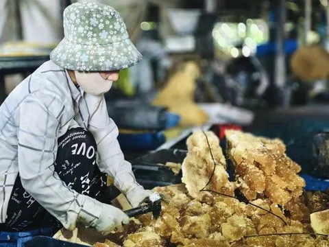 Trước Tết Bính Ngọ, làng nghề "giữ vị ngọt" sôi động chưa từng có