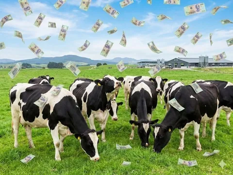 Một đại gia sữa chốt quyền chia cổ tức 25%, tiền về tài khoản ngay sát Tết