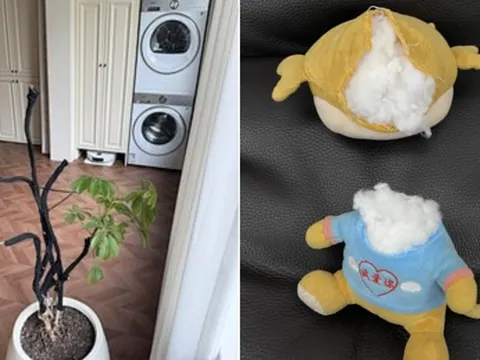 Buông bỏ là thượng sách: Tôi da diết khuyên bạn thẳng tay vứt 8 món "rác nhà" này