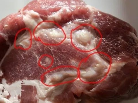 "3 nhớ 5 không" để nhận biết thịt lợn ngon, khác xa lợn bệnh, lợn chết