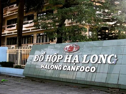 Loạt doanh nghiệp lên tiếng vụ 120 tấn thịt tả lợn châu Phi tại công ty Đồ hộp Hạ Long