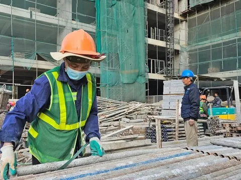 Cần tính đến phương án nhập khẩu nhân công