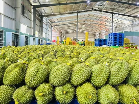 Nhìn lại một năm vươn xa của nông sản Việt