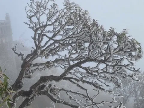 Dự báo thời tiết 10/1: Miền Bắc rét buốt đỉnh điểm, khối khí lạnh tăng cường xuống Trung Bộ